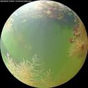 ./images/calvert/underwater/20260804/underwater20260804_135001M.jpg