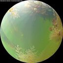 ./images/calvert/underwater/20260804/underwater20260804_140501M.jpg