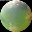 ./images/calvert/underwater/20260804/underwater20260804_141501M.jpg