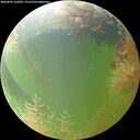 ./images/calvert/underwater/20260804/underwater20260804_142002M.jpg