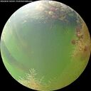 ./images/calvert/underwater/20260804/underwater20260804_142501M.jpg