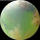 ./images/calvert/underwater/20260804/underwater20260804_144501M.jpg