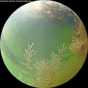 ./images/calvert/underwater/20260804/underwater20260804_145502M.jpg