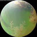 ./images/calvert/underwater/20260804/underwater20260804_150002M.jpg