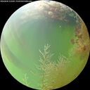 ./images/calvert/underwater/20260804/underwater20260804_151002M.jpg