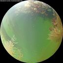 ./images/calvert/underwater/20260804/underwater20260804_152502M.jpg