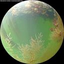./images/calvert/underwater/20260804/underwater20260804_153002M.jpg