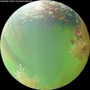 ./images/calvert/underwater/20260804/underwater20260804_154501M.jpg