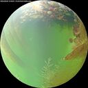 ./images/calvert/underwater/20260804/underwater20260804_155001M.jpg
