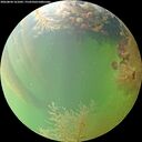 ./images/calvert/underwater/20260804/underwater20260804_161002M.jpg