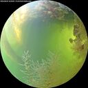 ./images/calvert/underwater/20260804/underwater20260804_165001M.jpg
