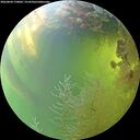 ./images/calvert/underwater/20260804/underwater20260804_170002M.jpg