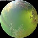 ./images/calvert/underwater/20260804/underwater20260804_170501M.jpg