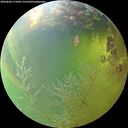 ./images/calvert/underwater/20260804/underwater20260804_171001M.jpg