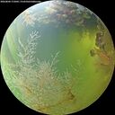 ./images/calvert/underwater/20260804/underwater20260804_172002M.jpg