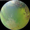 ./images/calvert/underwater/20260804/underwater20260804_172501M.jpg