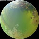 ./images/calvert/underwater/20260804/underwater20260804_173001M.jpg