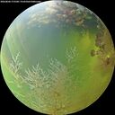 ./images/calvert/underwater/20260804/underwater20260804_173501M.jpg