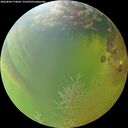 ./images/calvert/underwater/20260804/underwater20260804_174002M.jpg
