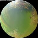 ./images/calvert/underwater/20260804/underwater20260804_175501M.jpg