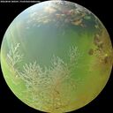 ./images/calvert/underwater/20260804/underwater20260804_180501M.jpg