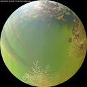 ./images/calvert/underwater/20260804/underwater20260804_181001M.jpg