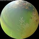 ./images/calvert/underwater/20260804/underwater20260804_182501M.jpg