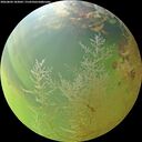 ./images/calvert/underwater/20260804/underwater20260804_183001M.jpg