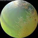 ./images/calvert/underwater/20260804/underwater20260804_184001M.jpg