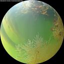 ./images/calvert/underwater/20260804/underwater20260804_192502M.jpg