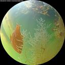 ./images/calvert/underwater/20260804/underwater20260804_193002M.jpg