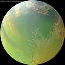 ./images/calvert/underwater/20260804/underwater20260804_193501M.jpg