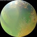 ./images/calvert/underwater/20260804/underwater20260804_194001M.jpg
