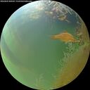 ./images/calvert/underwater/20260804/underwater20260804_200501M.jpg