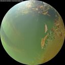 ./images/calvert/underwater/20260804/underwater20260804_202001M.jpg