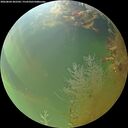 ./images/calvert/underwater/20260804/underwater20260804_202501M.jpg