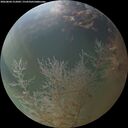 ./images/calvert/underwater/20260804/underwater20260804_212002M.jpg