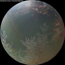 ./images/calvert/underwater/20260804/underwater20260804_212501M.jpg
