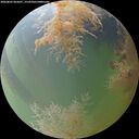 ./images/calvert/underwater/20260805/underwater20260805_065001M.jpg