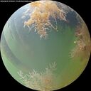 ./images/calvert/underwater/20260805/underwater20260805_070501M.jpg