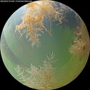 ./images/calvert/underwater/20260805/underwater20260805_071001M.jpg