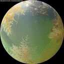 ./images/calvert/underwater/20260805/underwater20260805_071501M.jpg