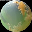 ./images/calvert/underwater/20260805/underwater20260805_074001M.jpg