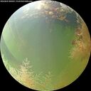 ./images/calvert/underwater/20260805/underwater20260805_082001M.jpg