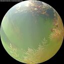./images/calvert/underwater/20260805/underwater20260805_082501M.jpg