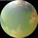 ./images/calvert/underwater/20260805/underwater20260805_083501M.jpg