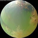 ./images/calvert/underwater/20260805/underwater20260805_085002M.jpg