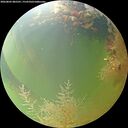 ./images/calvert/underwater/20260805/underwater20260805_085501M.jpg