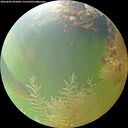 ./images/calvert/underwater/20260805/underwater20260805_092001M.jpg