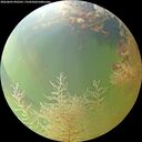 ./images/calvert/underwater/20260805/underwater20260805_092501M.jpg